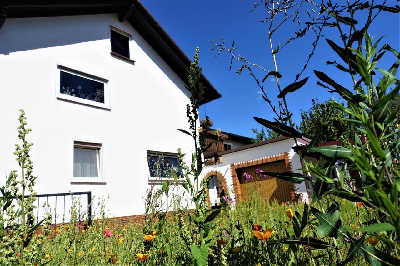 Ferienwohnung-M8 Im Schoenen Werratal Jestadt Bagian luar foto